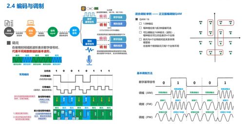 计算机网络基础与网站设计实践 构建高效、安全的互联网应用