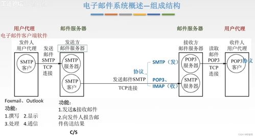计算机网络基础第六章 网站设计与开发核心要点