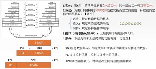 计算机网络与网站设计 构建数字世界的基石