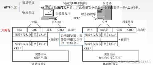 计算机网络复习06 应用层