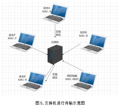 计算机网络中的关键角色 交换机、路由器与网站设计的协同解析